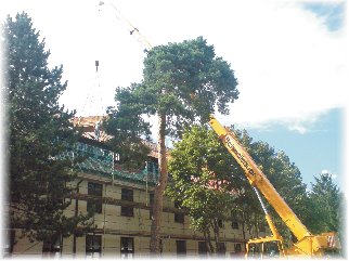 [Dachumbau in M�nchen]